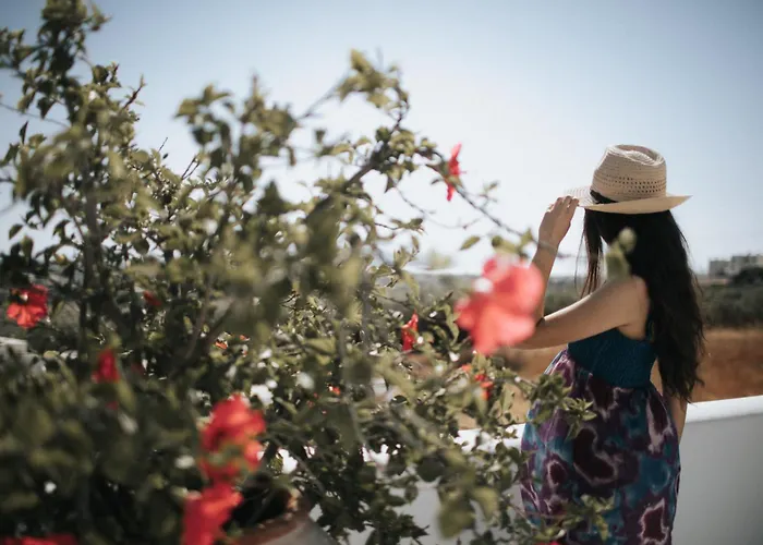 Aeolos Sustainable Living * Angídia