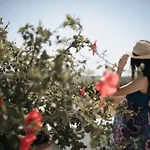 Aeolos Sustainable Living * Agkidia