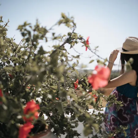 Aeolos Sustainable Living * Agkidia