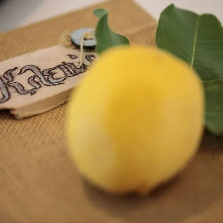 Apartment Aeolos Sustainable Living